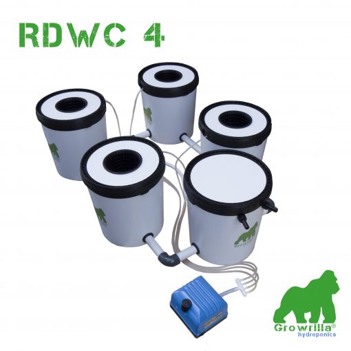 Growrilla Hydroponic RDWC 4 bucket system 