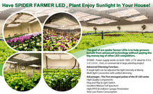 Load image into Gallery viewer, Spider Farmer SF 2000, SE series, Meanwell driver, dimmer, samsung LED, flexiebel, grow light, gloeilicht, kweeklamp, ce certificaat, Osram, ppe 2.75 mol, samsung horticulture LED, high PPFD, wit licht, full spectrum, 300watt, daisy chain, energy saving, SE5000, yoyo, kwaliteit, hydroponic, grow tent, greenhouse, Samsung LED
