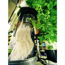 Load image into Gallery viewer, Growrilla Hydroponic RDWC OXY-RING 1-bucket system 
