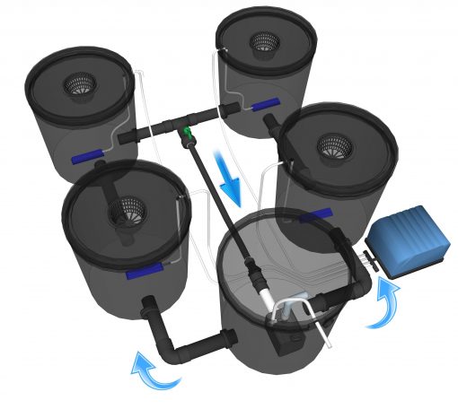 Growrilla Hydroponic RDWC 4- bucket systeem
